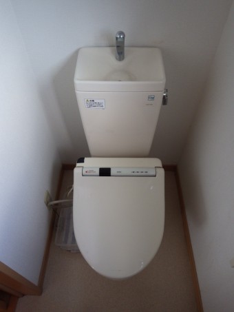 IMGP4936-e1635313578831